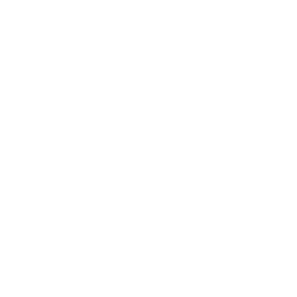Hundeaufkleber Border Collie Name Pfoten Auto Aufkleber Agility