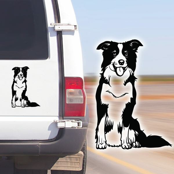 EU Auto Kennzeichen Nummernschild Aufkleber Border Collie Hunde zucht dogs rasse 
