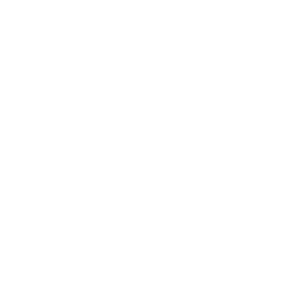 Hundeaufkleber Border Collie Auto Aufkleber Hundesport