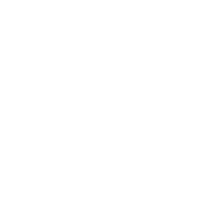 Hundeaufkleber Border Collie Name Pfoten Auto Aufkleber Hundesport