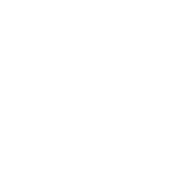 Hundeaufkleber Agility Border Collie Wunschtext Auto Aufkleber