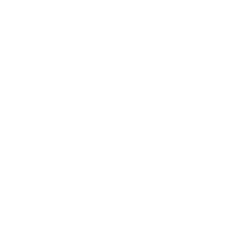 Hundeaufkleber Agility Border Collie Wunschtext Auto Aufkleber