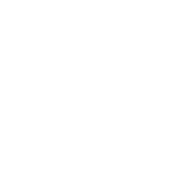 Hundeaufkleber Bichon Frise Malteser Auto Aufkleber