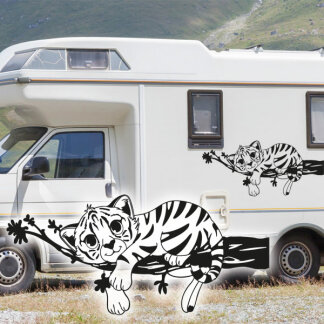 Wohnmobil Aufkleber Kleines Tigerbaby Aufkleber Wohnwagen