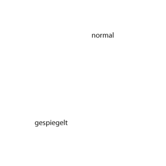 Aufkleber Pferdeanhänger Islandpferd Pony Isländer