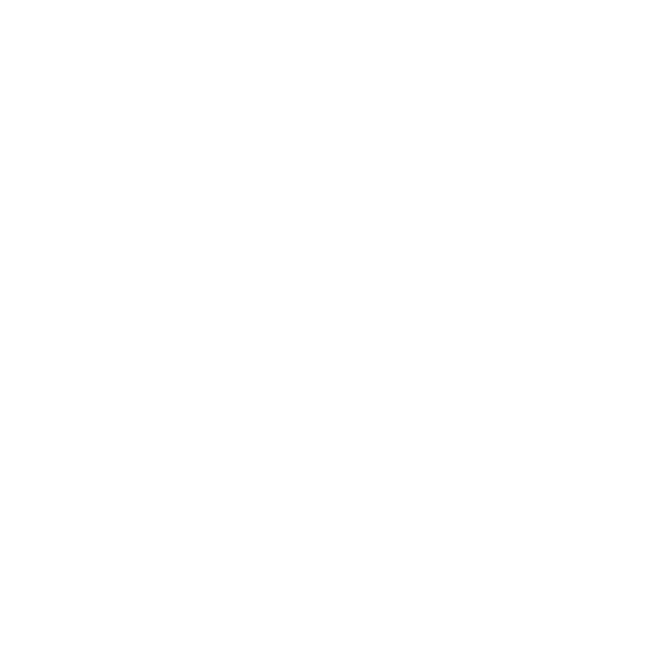 Autoaufkleber Carpe Diem Victory Peace Auto Aufkleber Heckscheibe