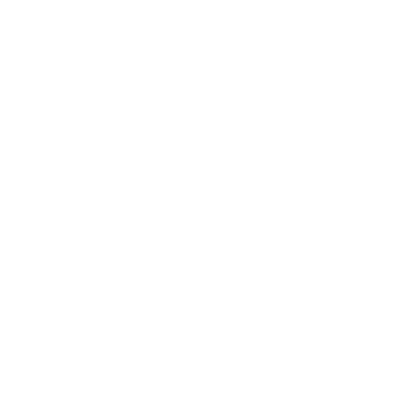 Hundeaufkleber Bichon Frise Bolonka Zwetna Auto Aufkleber