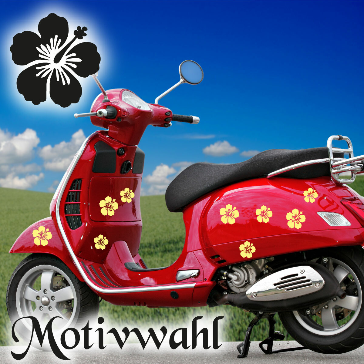 https://www.abc-aufkleber.de/media/image/product/598/lg/aa025-hibiscus-24x-blumen-aufkleber-vespa-roller-bike-quad~2.jpg