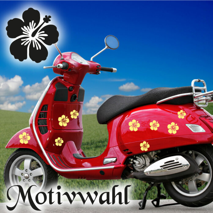 Roller Aufkleber Hibiskus Blumen Hawaii Sticker Set