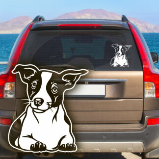 Hundeaufkleber Jack Russell Terrier Auto Aufkleber