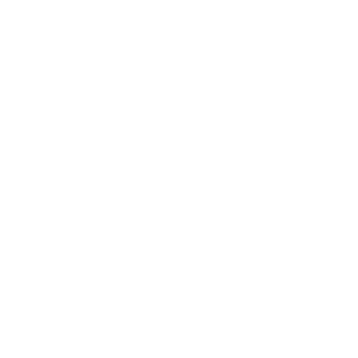 Autoaufkleber Biker Motorrad Born to Ride Auto Aufkleber