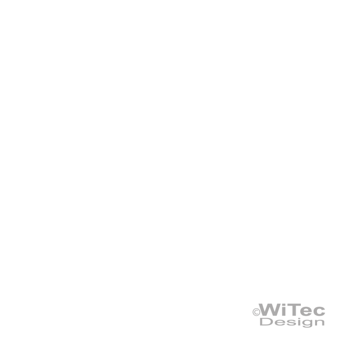 Autoaufkleber Gekko Gecko Echse 2x Auto Aufkleber