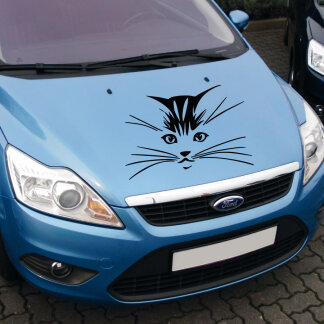 Autoaufkleber Katze Motorhaube