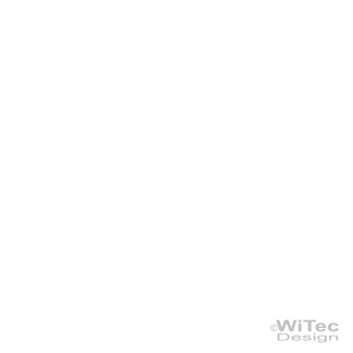 AA079 Drache Drachen Dragon 2x Tribal Tattoo Aufkleber sticker