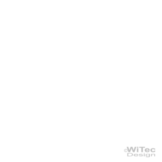 Drache Drachen Dragon 2x Tribal Tattoo Sticker