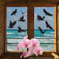 Fensteraufkleber Kondor Geier Vogel Warnvögel Aufkleber