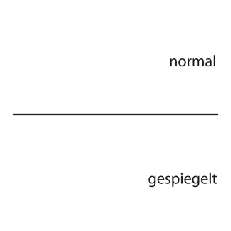 Autoaufkleber Hexe Spinne Halloween Auto Aufkleber
