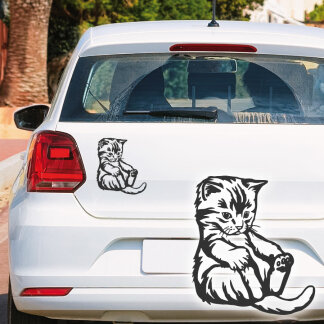 Autoaufkleber Katze Babykatze Aufkleber Auto Sticker