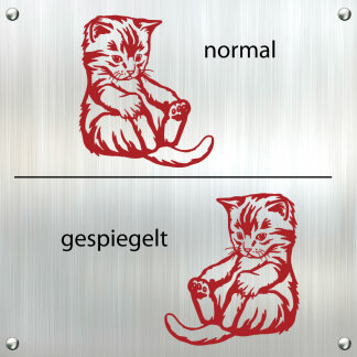 Autoaufkleber Katze Babykatze Aufkleber Auto Sticker