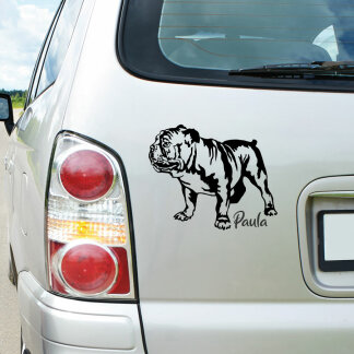Hundeaufkleber Englische Bulldogge stehend Auto Aufkleber