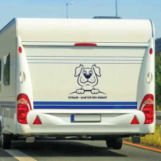 Wohnmobil Hund Urlaub immer dabei Wohnwagen Caravan