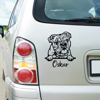 Hundeaufkleber Englische Bulldogge Wunschtext Auto Aufkleber