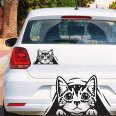 Autoaufkleber Katze guckt durch Loch Aufkleber Auto
