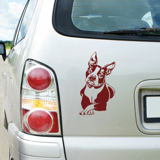 Hundeaufkleber Boston Terrier Aufkleber Auto Hunde Sticker