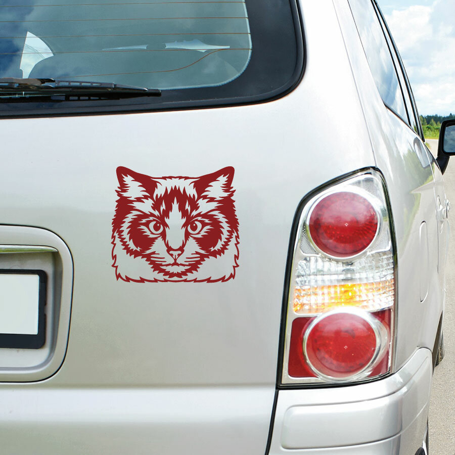 Autoaufkleber Katze Kätzchen Auto Aufkleber Sticker Digitaldruck