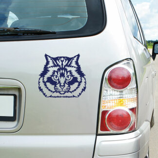 Autoaufkleber Burma Katze Auto Aufkleber Rassekatze
