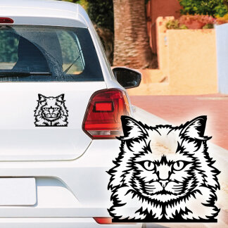 Autoaufkleber Türkisch Angora Katze Auto Aufkleber