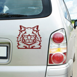 Autoaufkleber Türkisch Angora Katze Auto Aufkleber