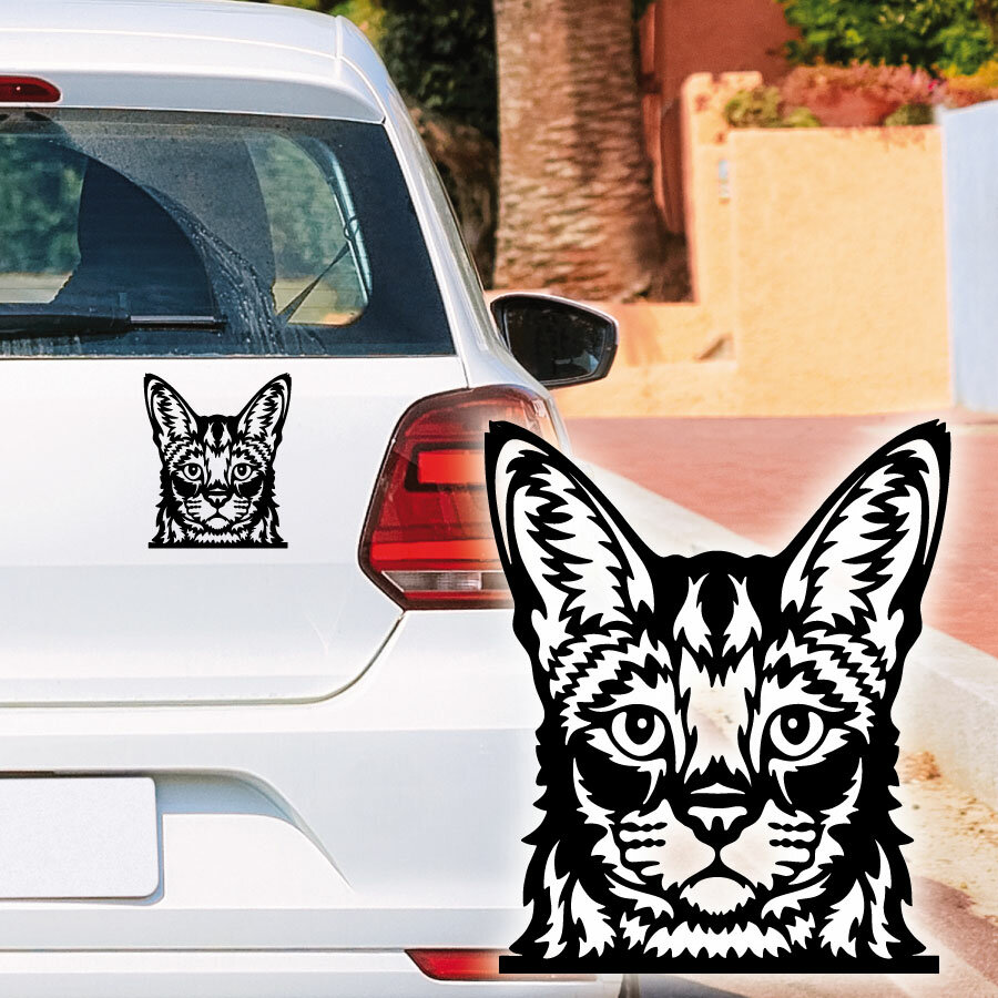 Tigerkatze Hauskatze Kitty Auto Aufkleber Autoaufkleber Sticker