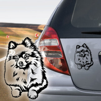 Zwergspitz Pomeranian Hundeaufkleber