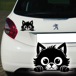 Autoaufkleber neugierige Katze
