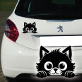 Autoaufkleber neugierige Katze