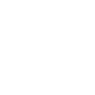 Wandtattoo Pflanze Kugelgras Wandaufkleber