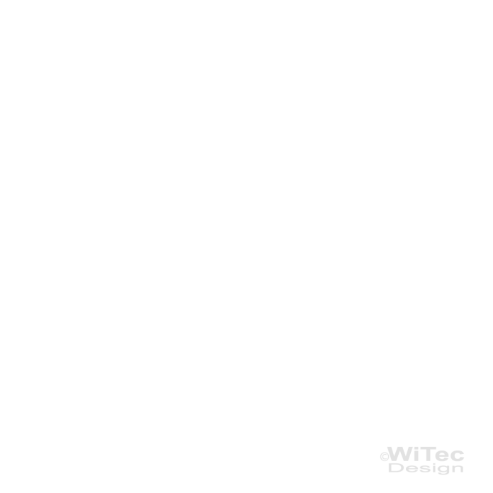 Wandtattoo Carpe Diem + Vogel Wandaufkleber