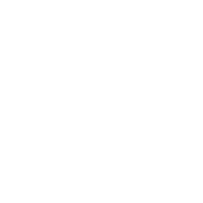 WA145 Wandaufkleber PFERD Aufkleber Walltattoo
